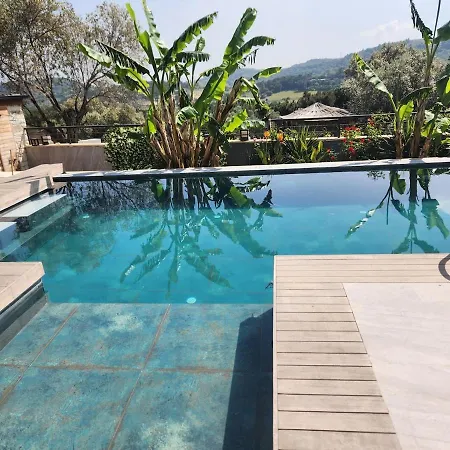 Stone In The Pines Special Pool Garden Bbq And Jacuzzi For Two Families Foça