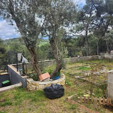 Stone In The Pines Special Pool Garden Bbq And Jacuzzi For Two Families Foça